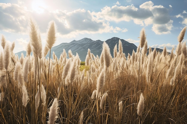 Foto la hierba de las pampas en el campo con fondo de montaña