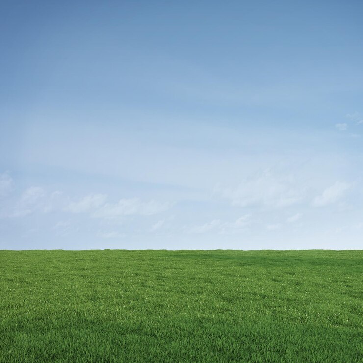 Hierba de pradera verde con fondo de cielo azul