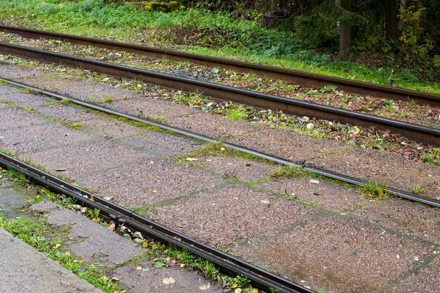 Hierba en los rieles del tranvía bajo la lluvia