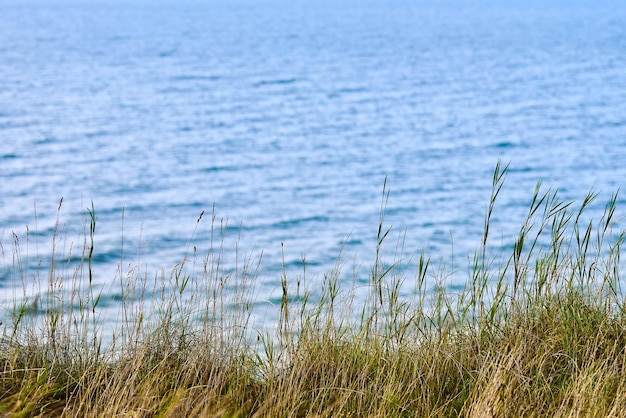 Hierba seca, cañas, tallos en el viento, mar horizontal, borrosa en el fondo. Hierba de otoño que crece en la colina sobre la playa del Mar Báltico. Naturaleza, verano, concepto de hierba, espacio de copia, enfoque selectivo