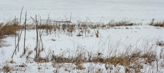 Hierba seca cerca de un campo nevado en invierno la temporada de descanso del campo antes de las obras agrícolas