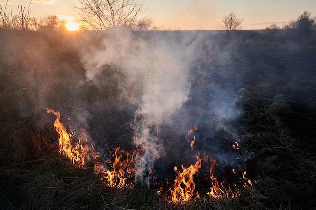 Hierba seca en llamas y señal de advertencia en el campo al atardecer