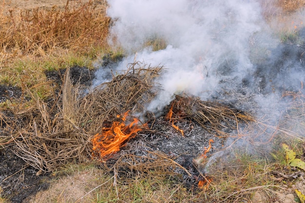 La hierba seca quema el fuego y el humo en el campo del prado El fuego salvaje destruye la hierba