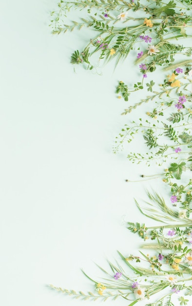 hierba silvestre y flores en fondo de papel verde