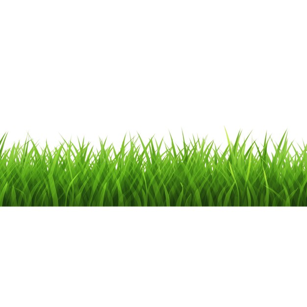 Foto la hierba verde aislada en un fondo transparente