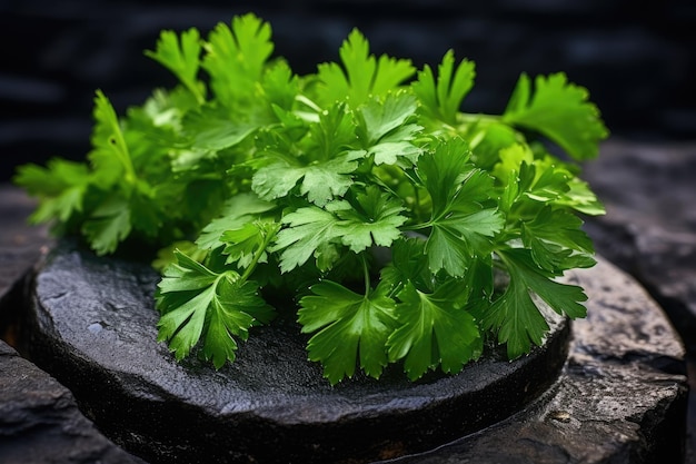 Hierba verde aromática para dar sabor a los alimentos en un plato de piedra