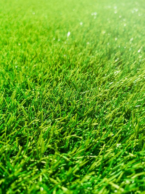 Hierba verde artificial, hierba verde, textura de fondo de hierba