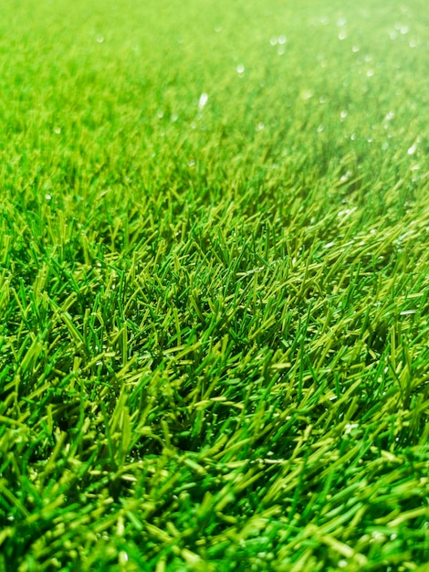 Hierba verde artificial, hierba verde, textura de fondo de hierba