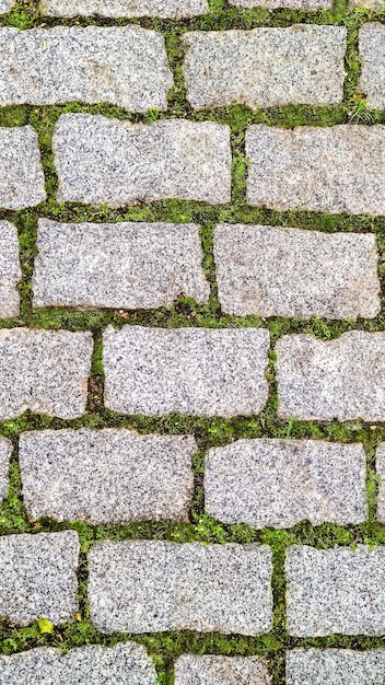 La hierba verde brotó entre ladrillos de adoquines camino vista de arriba concepto de fusión armoniosa de