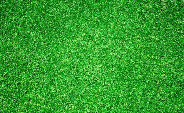 Hierba verde campo de fútbol