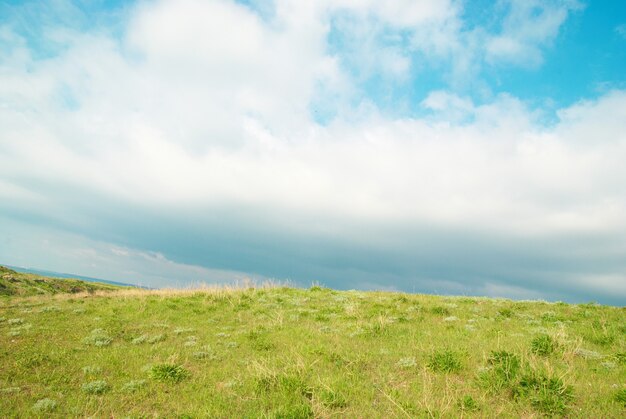 Hierba verde con cielo azul y nubes.