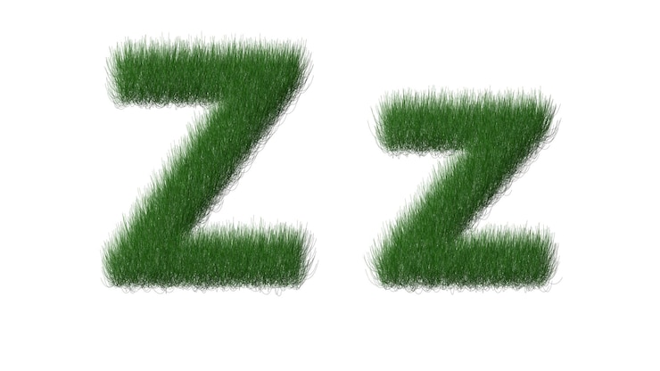 Foto hierba verde con la letra z
