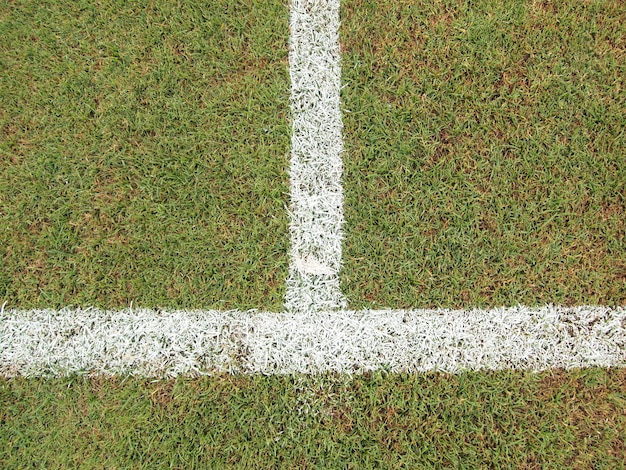 hierba verde con línea blanca de campo de fútbol