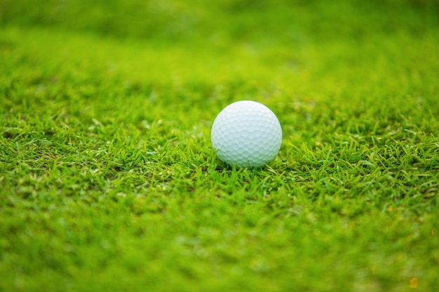 Hierba verde con pelota de golf