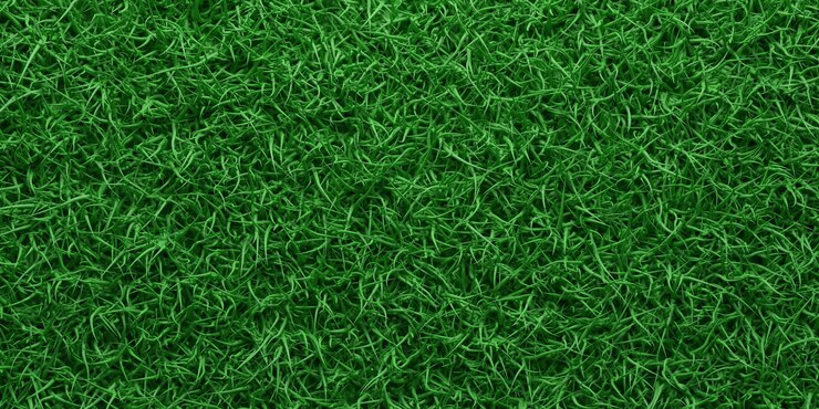 Hierba verde realista