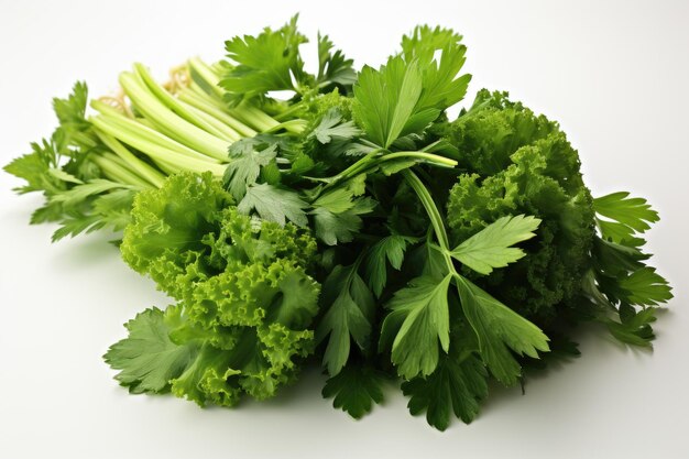 Hierbas aromáticas frescas como el cilantro y el perejil aislamiento fondo blanco Generado con IA