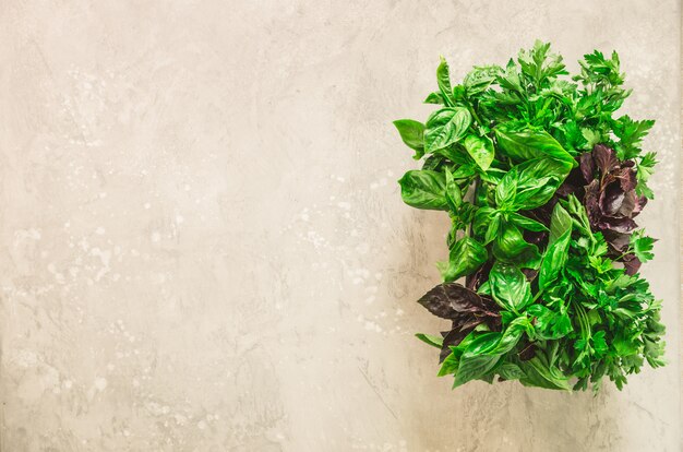 Hierbas aromáticas frescas verdes - tomillo, albahaca, perejil en fondo gris. Banner de collage, marco de la comida.