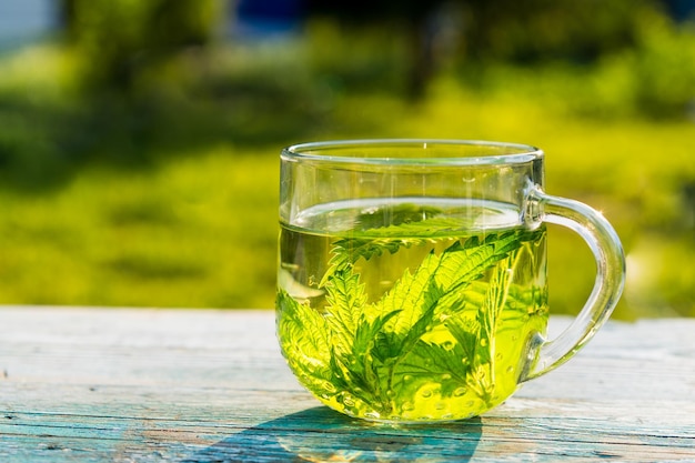Foto hierbas beneficiosas del té de ortiga el concepto de medicina alternativa