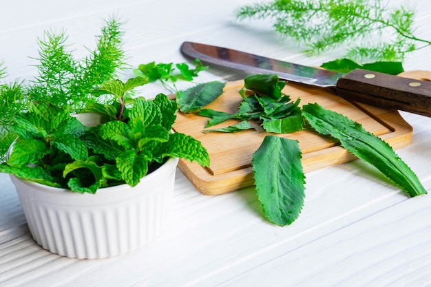 Hierbas Culantro y hierbas de menta sobre una tabla para cortar madera