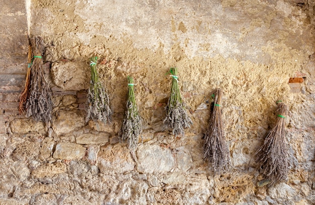 Las hierbas y flores secas cuelgan del estiramiento y secado al sol suspendido de la pared.