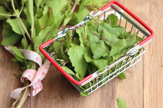 Hierbas frescas de albahaca verduras