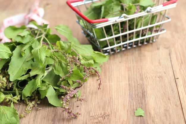 Hierbas frescas de albahaca verduras