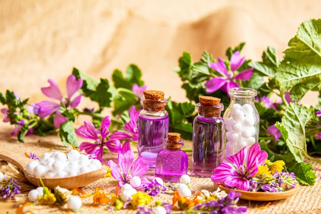 Hierbas homeopáticas y sus extractos Enfoque selectivo Naturaleza