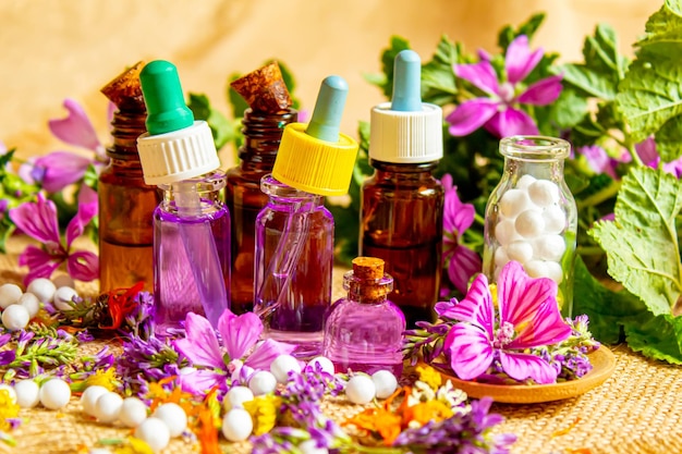 Hierbas homeopáticas y sus extractos Enfoque selectivo Naturaleza