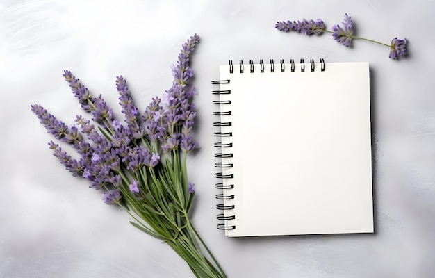 hierbas de lavanda y cuaderno vacío en el fondo gris nevado vista superior