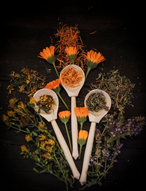 Foto hierbas medicinales secas brillantes en cucharas y sus hierbas frescas sobre una mesa de madera negra.