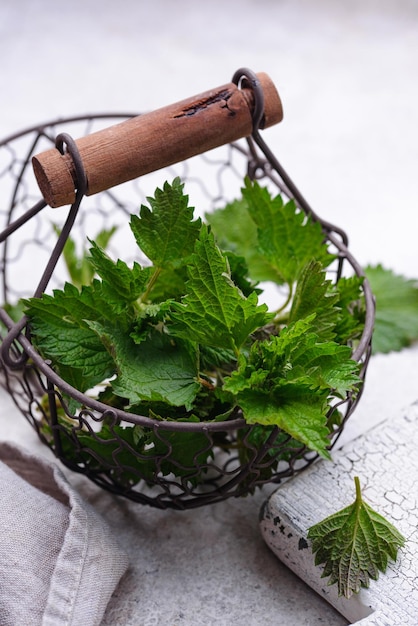 Hierbas de primavera de ortiga fresca joven para cocinar