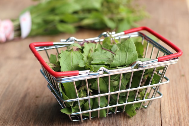 Hierbas verduras frescas de albahaca