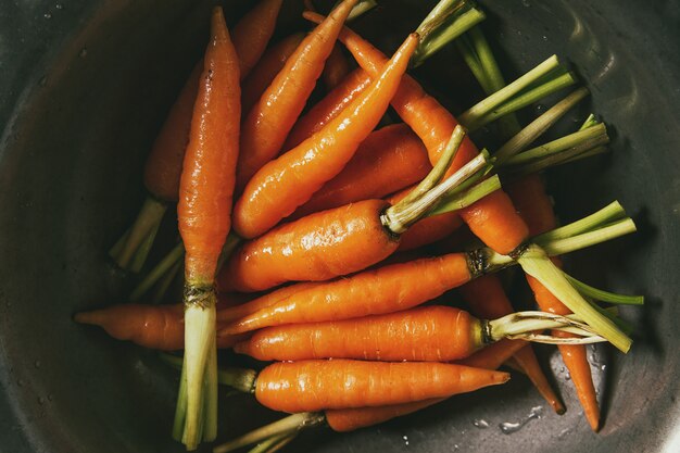 Hierbas y zanahorias de cocina.