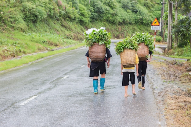 hiff tribe vietnam