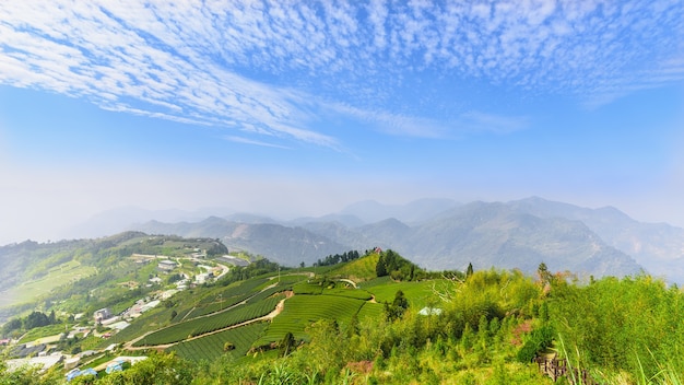 High Mountain View y Tea Garden, Chiayi, Taiwán