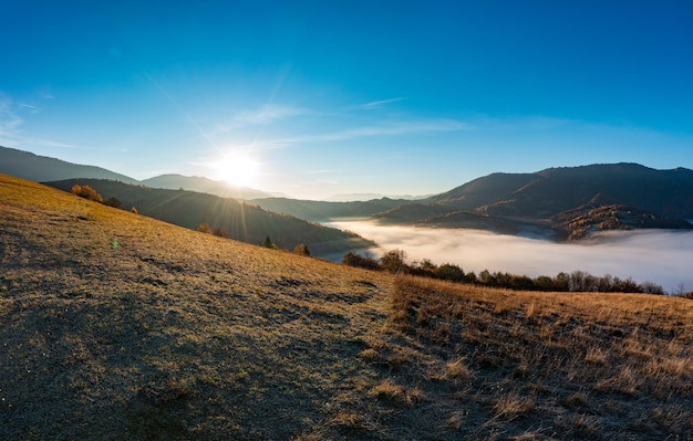 Highland coberto com floresta verde e nevoeiro no canyon