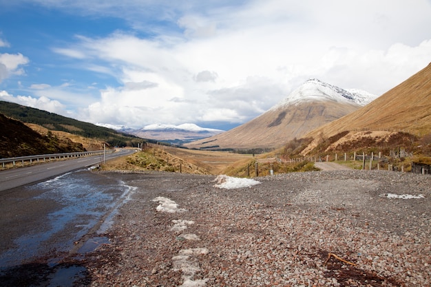 Highland Escocia campo