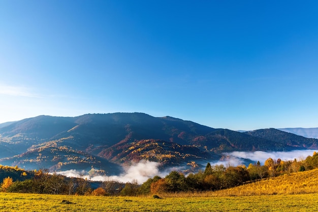 Highland con laderas y montañas forestales bajo un cielo nublado