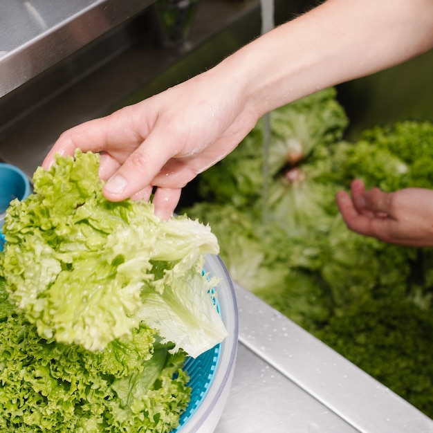 Foto higiene alimentar em um restaurante. cozinhe a salada verde na pia da cozinha antes de adicioná-la à refeição.