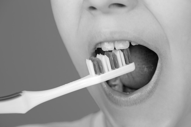 Higiene dental Niño pequeño cepillándose los dientes Niño niño cepilléndose los dientes Cuidado dental de la salud