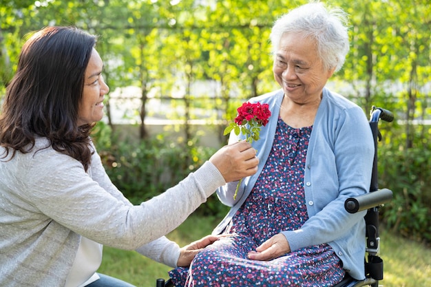 La hija del cuidador abraza y ayuda a una anciana o anciana asiática sosteniendo una rosa roja en silla de ruedas en el parque