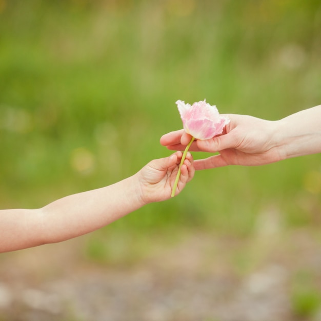 Hija regala una flor para mamá, día de la madre