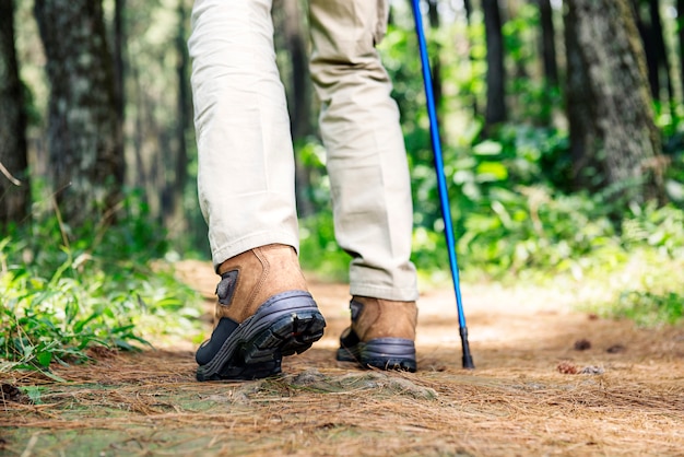 Hiker, homem, com, botas, e, trekking, polaco, andar