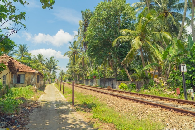 Hikkaduwa, Sri Lanka. Eisenbahn.