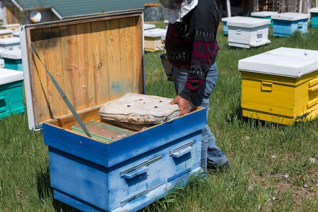Una hilera de colmenas de abejas en un colmenar privado en el jardín Industria de la miel