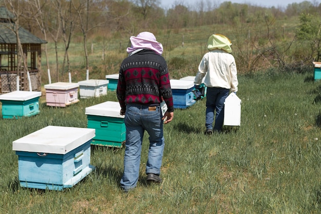 Una hilera de colmenas de abejas en un colmenar privado en el jardín. Industria de la miel.