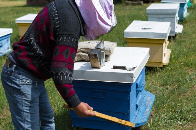 Una hilera de colmenas de abejas en un colmenar privado en el jardín. Industria de la miel.