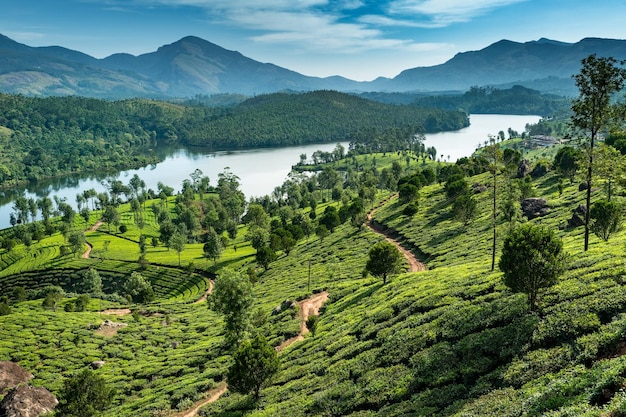 Hills Lake und Teeplantagen in Kerala