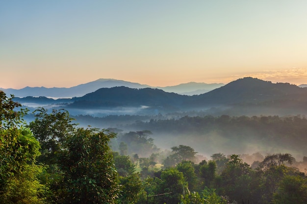 Himalaya-Hügel in Nebel-Sonnenaufgang-Landschaft