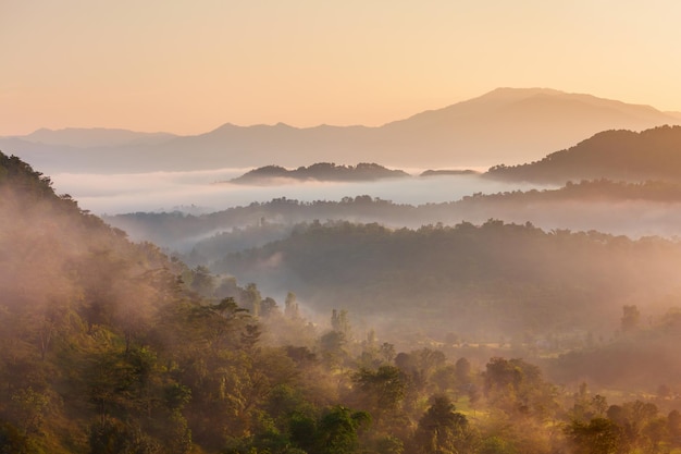 Himalaya-Hügel in Nebel-Sonnenaufgang-Landschaft